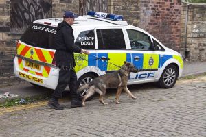 police dogs thornton road sm.jpg